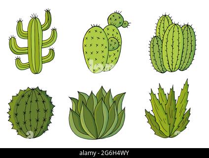 Simpatica illustrazione vettoriale. Set di immagini cartoon di cactus. Cactus, aloe, succulenti in una collezione creativa. Stampa pin. Elementi naturali decorativi sono Illustrazione Vettoriale