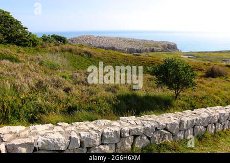 Un basso muro di pietra fiancheggiato tortuoso percorso attraverso la terra pubblica vicino al mare Suances Cantabria Spagna Foto Stock