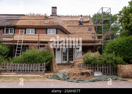 Hiddensee, Germania. 25 Giugno 2021. Un tatcher rinnova il tetto di una vecchia casa di pescatori a Vitte. Credit: Stefano Nosini/dpa-Zentralbild/ZB/dpa/Alamy Live News Foto Stock