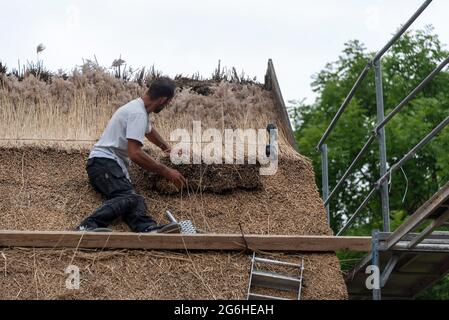 Hiddensee, Germania. 25 Giugno 2021. Un tatcher rinnova il tetto di una vecchia casa di pescatori a Vitte. Credit: Stefano Nosini/dpa-Zentralbild/ZB/dpa/Alamy Live News Foto Stock