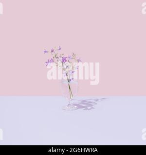 Vetro con liquido trasparente e bellissimi fiori di campo viola. Sfondo rosa pastello luminoso. Estetica della natura minima. Foto Stock