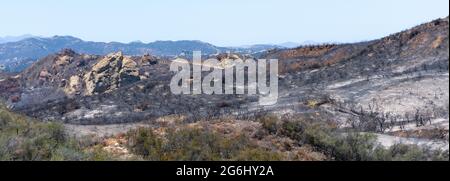 Il paesaggio arcuato nel Topanga state Park, Topanga, California dopo l'incendio di Palisades Foto Stock