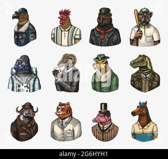 Astronauta di scimmia Gorilla. Pilota di aviatore di aquila Gallo Dinosaur Pig Tiger Bear Sheep Buffalo Bull Horse Cheetah. Cane bulldog baseball giocatore di tennis Illustrazione Vettoriale