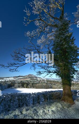 Splendida vista sui campi innevati che conducono alle Eildon Hills in una bella mattina primaverile ai confini scozzesi. Foto Stock