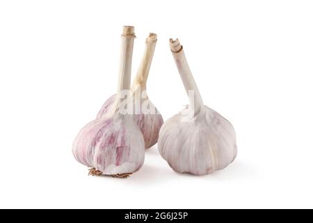 Tre teste di aglio isolate su bianco Foto Stock