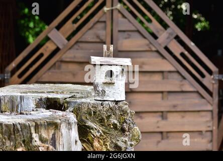 Una casa di uccelli fatta di un moncone di betulla sullo sfondo di una casa di legno. Foto Stock