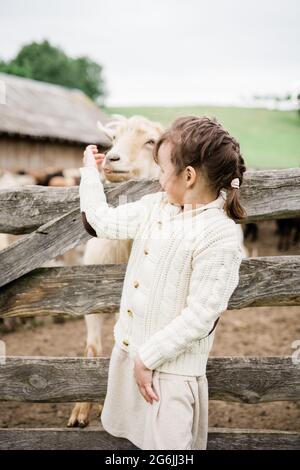 Bambina che alimenta capre in fattoria. Foto Stock