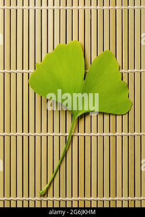 Singola foglia di ginkgo su un tappeto di bambù. Ginkgo biloba, conosciuto anche come gingko o albero dei maidenhair, albero ufficiale della capitale giapponese Tokyo. Foto Stock