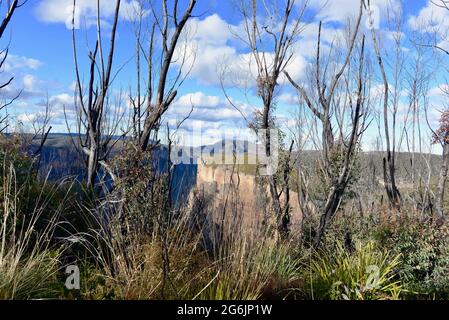 Una vista della campagna dalla passeggiata Hanging Rock nelle Blue Mountains Foto Stock