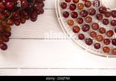 Le uve su un vassoio di plastica vengono preparate per disidratare in uvetta Foto Stock