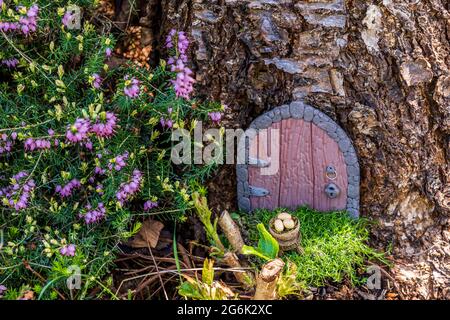 Porta fiaba piccola fatta di argilla in un tronco di albero con fiori viola. Foto Stock