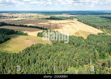 campagna estiva paesaggio con campi coltivabili tra boschi sotto il cielo azzurro nuvoloso. vista aerea Foto Stock