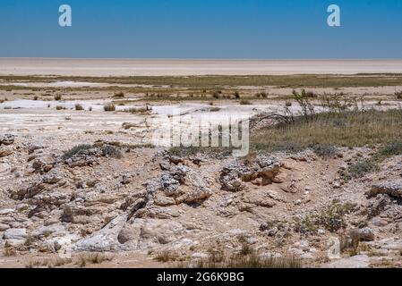 Vista della saliera secca di Etosha al parco nazionale di Etosha, Namibia Foto Stock