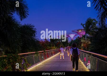 I turisti camminano lungo il ponte Dragonfly fino a Supertrees per lo spettacolo serale giornaliero di luci e musica nei Gardens by the Bay, Singapore. Sottoesposizione, scarsa illuminazione Foto Stock