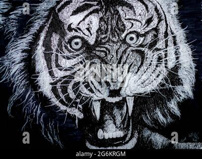Tigre sgarbante, scrimolo disegnato dalla foto originale Foto Stock