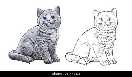 Simpatici gattini per colorare. Modello per un libro da colorare con i gatti piccoli. Gran Bretagna Cat. Shorthair britannico. Foto Stock