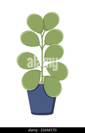 Illustrazione botanica con foglie e pianta. Bellissimo vaso di fiori con colorata vettore fiore icona piatta. Fiore colorato in vaso isolato icona piatta o Illustrazione Vettoriale