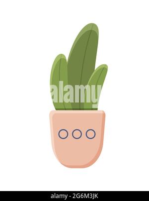 Illustrazione botanica con foglie e pianta. Bellissimo vaso di fiori con colorata vettore fiore icona piatta. Fiore colorato in vaso isolato icona piatta o Illustrazione Vettoriale