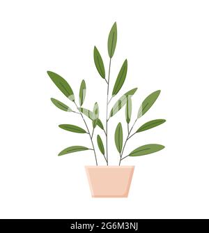 Illustrazione botanica con foglie e pianta. Bellissimo vaso di fiori con colorata vettore fiore icona piatta. Fiore colorato in vaso isolato icona piatta o Illustrazione Vettoriale