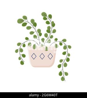 Illustrazione botanica con foglie e pianta. Bellissimo vaso di fiori con colorata vettore fiore icona piatta. Fiore colorato in vaso isolato icona piatta o Illustrazione Vettoriale