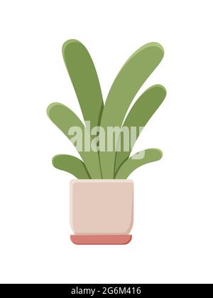 Illustrazione botanica con foglie e pianta. Bellissimo vaso di fiori con colorata vettore fiore icona piatta. Fiore colorato in vaso isolato icona piatta o Illustrazione Vettoriale