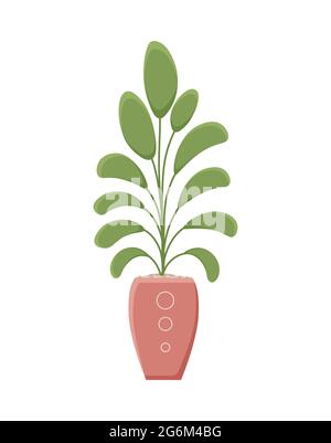 Illustrazione botanica con foglie e pianta. Bellissimo vaso di fiori con colorata vettore fiore icona piatta. Fiore colorato in vaso isolato icona piatta o Illustrazione Vettoriale