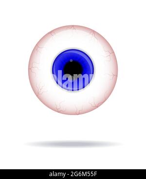 Sfera oculare umana realistica. Eyeball con blu iris foto immagine vettoriale realistica. Illustrazione Vettoriale