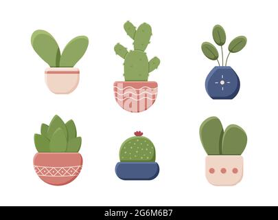 Set di piante decorative in vasi isolati su sfondo bianco. Pianta interna, vettoriale, disegno di icone piatte. Cactus, fiore, piccolo albero. Illu. Vettore Illustrazione Vettoriale