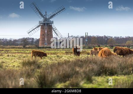 Horsey Windpump una pompa a vento o un mulino a vento drenante curato dal National Trust di Horsey, sui Broads vicino a Great Yarmouth, Norfolk, Inghilterra Foto Stock