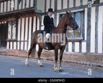 Lady formale di equitazione abitudine cavalcare un cavallo cacciatore di baia in un grazioso villaggio Suffolk di Nayland in Inghilterra con un vecchio edificio in legno sullo sfondo Foto Stock