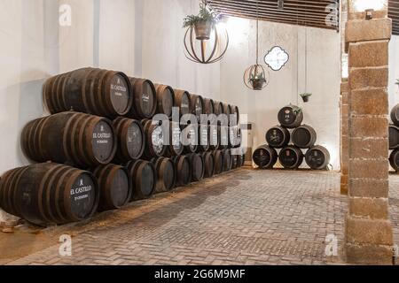 El Puerto de Santa Maria, Cadice, Spagna - 15 giugno 2021: Esposizione di barili di Caballero nel castello di San Marcos. Nelle cantine 'Gonzalez Byass', è Foto Stock