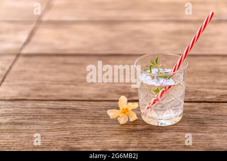 Rinfrescante bevanda estiva con una paglia. Cocktail freddo con gin e limonata guarniti con menta fresca e un fiore di oleandro su un tavolo di legno. Foto Stock