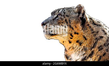 Acquerello digitale e ritratto a inchiostro di un leopardo isolato su uno sfondo bianco con spazio per il testo Foto Stock