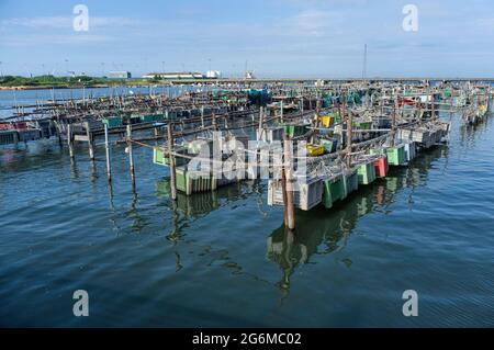 Trappole da pesca e imbarcazioni da pesca ancorate nel porto. Chioggia vista da via Granatieri di Sardegna. Laguna Veneta. Italia Foto Stock