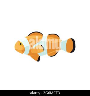 Illustrazioni cartoon di pesce pagliaccio isolato su sfondo bianco. Illustrazione Vettoriale