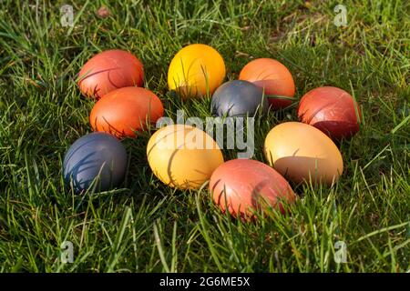 Uova di Pasqua, uova di pollo tinte nell'erba Foto Stock