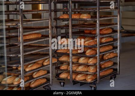 Pane appena sfornato sui ripiani del negozio. Foto di alta qualità Foto Stock