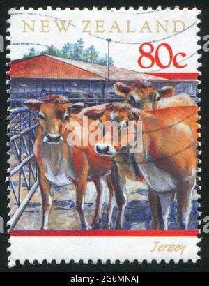 NEW ZEALAND - CIRCA 1997: Francobollo stampato dalla Nuova Zelanda, mostra mucca mucca di razza bovina, circa 1997 Foto Stock