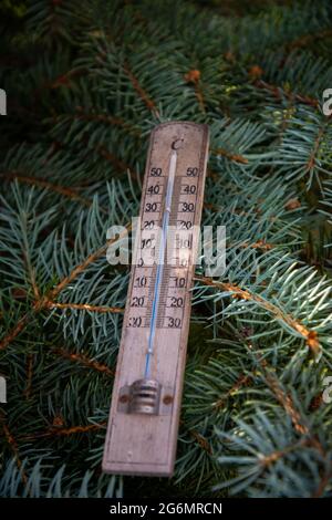 Termometro mostra alte temperature in gradi celsius con colori piuttosto verdi di conifere in estate. Foto Stock