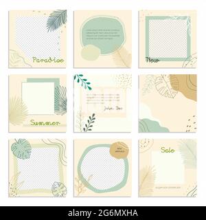 Banner Web moderno per social media, applicazioni mobili, design organico in colori pastello con foglie di palma tropicali. Post, storia e foto sui social media. Illustrazione Vettoriale