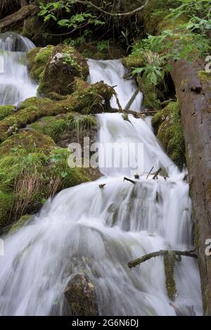 Torrente di montagna che scende con piccole cascate e muschio verde, Berchtesgaden, Baviera, Germania Foto Stock