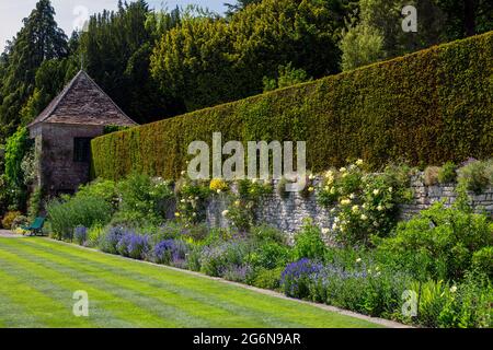 Un confine colorato in Milton Lodge Gardens, nr Wells, Somerset, Inghilterra Regno Unito Foto Stock