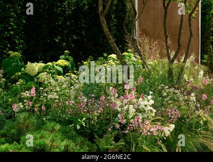 Un confine di Verbascum, Campanula, e Hydrangea nel Viking Friluftsiv Garden presso l'Hampton Court Palace Garden 2021 Foto Stock