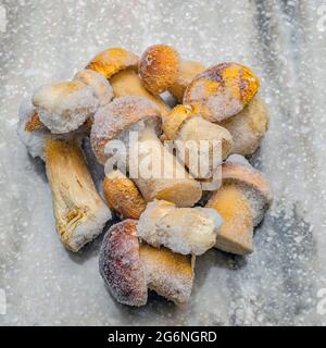 Funghi surgelati su sfondo di legno. L'intero boletus viene congelato nel congelatore. Foto Stock