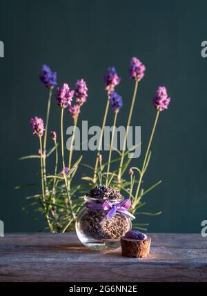 Lavanda secca in un piccolo vaso di vetro su tavolo di legno a sfondo verde con fiori freschi di lavanda alla luce del tramonto. Erbe aromatiche in stile provenzale Foto Stock