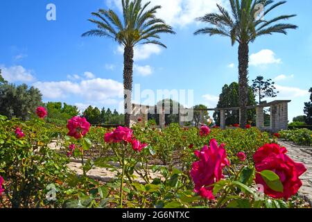 Gan Hanadiv, Israele Foto Stock