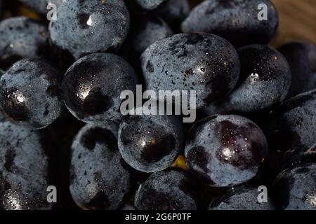 Grona di uve nere da vicino e gocce d'acqua, uva bacche Foto Stock