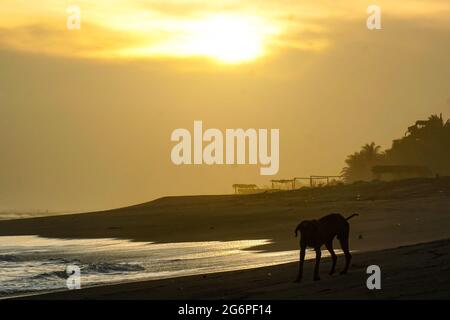 San Salvador, El Salvador. 07 luglio 2021. Vista sulla spiaggia di San Marcelino al tramonto. Credit: SOPA Images Limited/Alamy Live News Foto Stock
