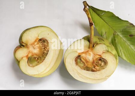 Dillenia indica frutta isolata su superficie bianca, frutta asiatica Foto Stock