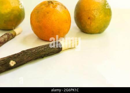 Bastone Miswak con arancio su superficie bianca, miswak per denti migliori e musulmani Foto Stock